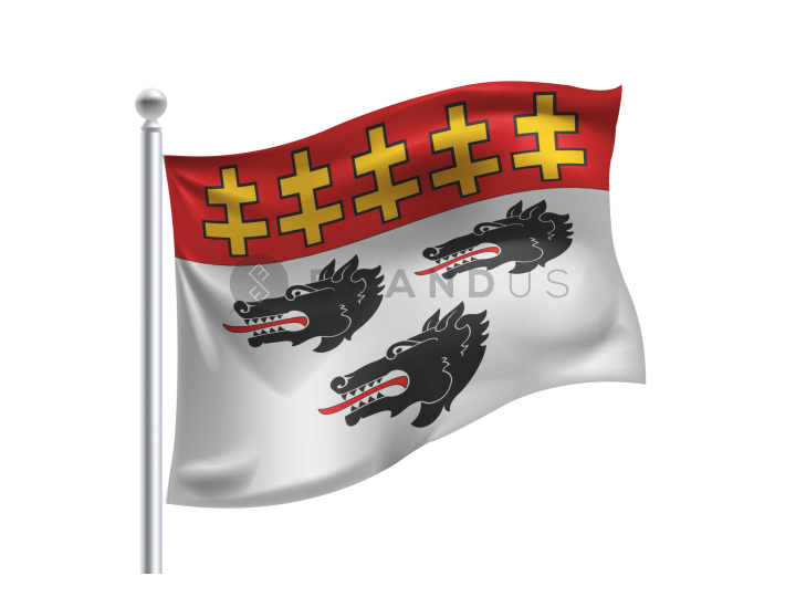 Marcinkonių  vėliava