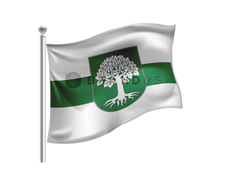 Sidabravo vėliava