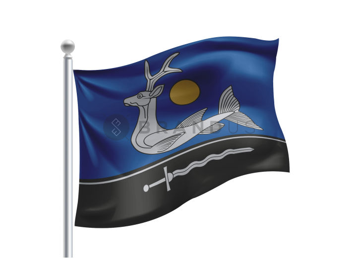 Zarasų vėliava