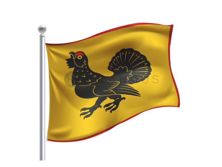 Bubių (Šiaulių raj.) vėliava