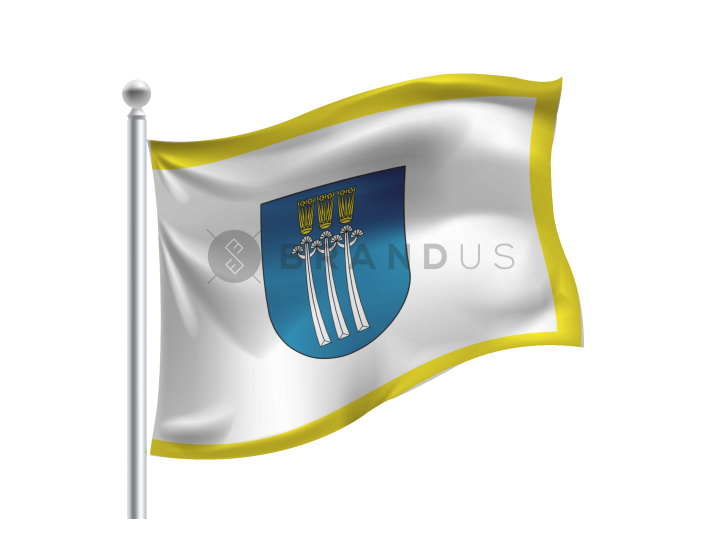 Druskininkų  vėliava