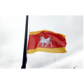 Kauno vėliava